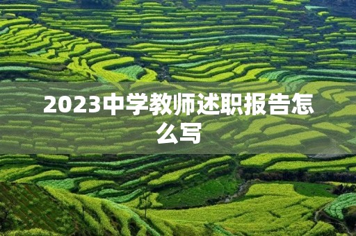 2023中学教师述职报告怎么写