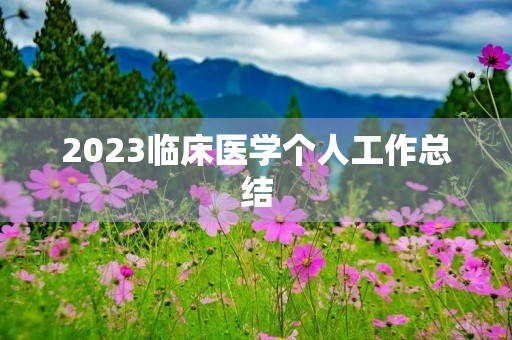 2023临床医学个人工作总结