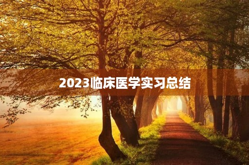 2023临床医学实习总结