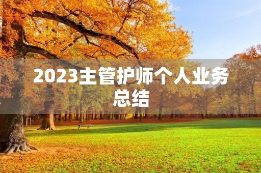 2023主管护师个人业务总结