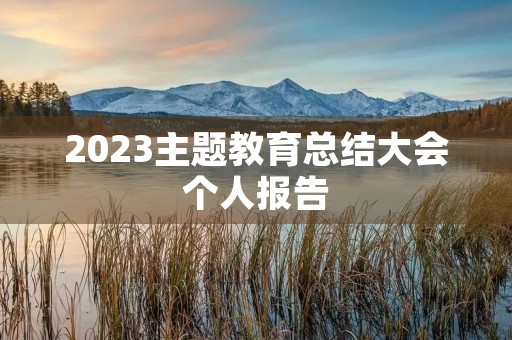 2023主题教育总结大会个人报告