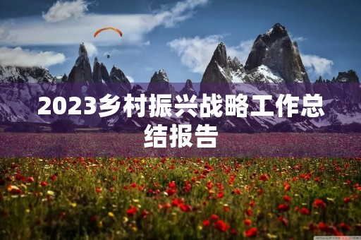 2023乡村振兴战略工作总结报告