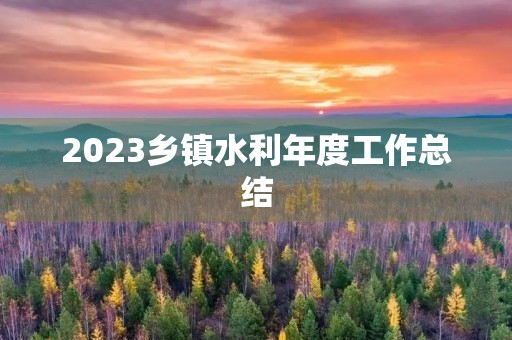 2023乡镇水利年度工作总结