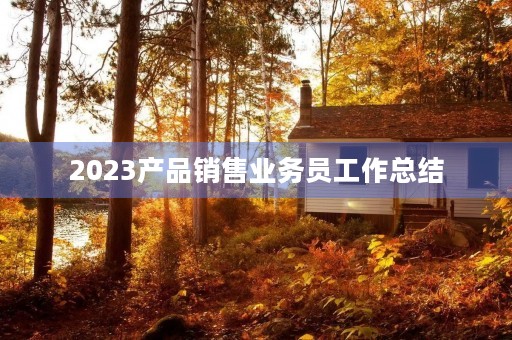 2023产品销售业务员工作总结