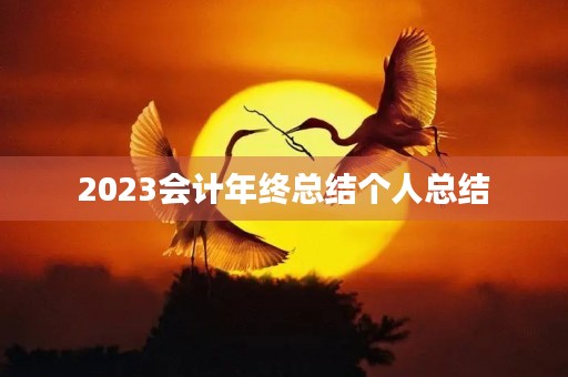 2023会计年终总结个人总结