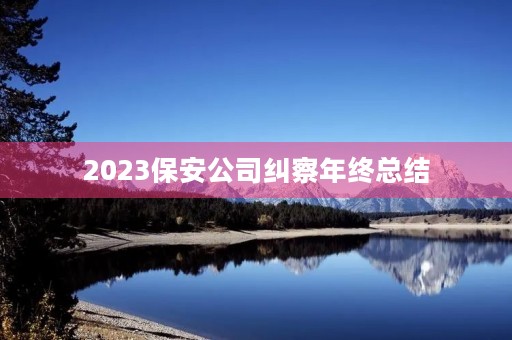 2023保安公司纠察年终总结