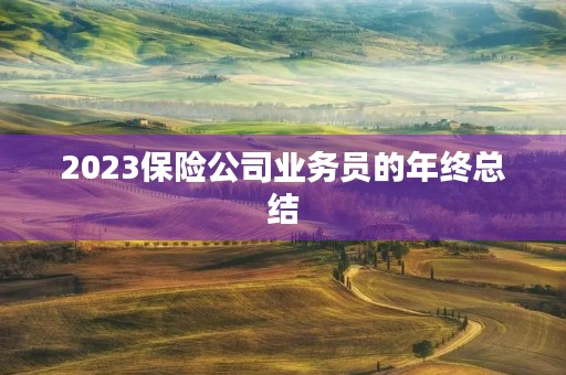 2023保险公司业务员的年终总结