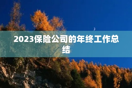 2023保险公司的年终工作总结