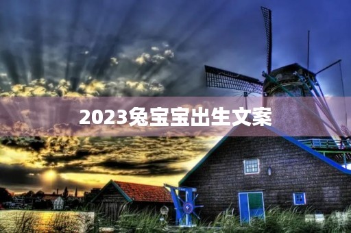 2023兔宝宝出生文案