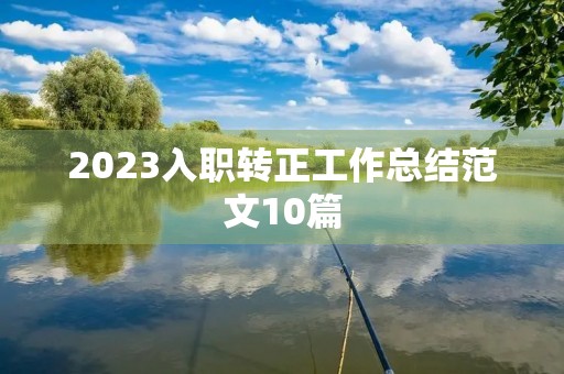 2023入职转正工作总结范文10篇