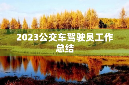 2023公交车驾驶员工作总结