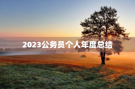 2023公务员个人年度总结