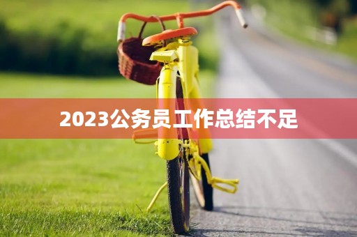 2023公务员工作总结不足
