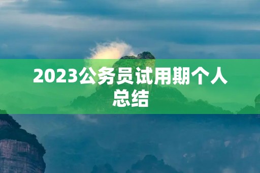 2023公务员试用期个人总结
