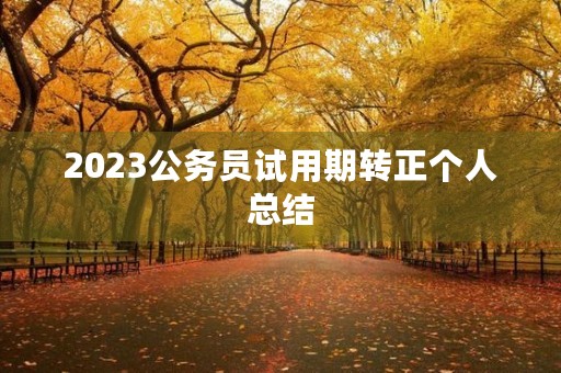 2023公务员试用期转正个人总结