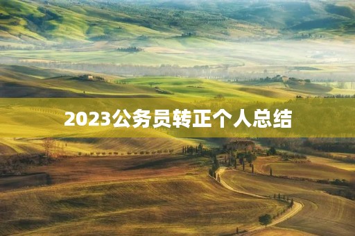 2023公务员转正个人总结