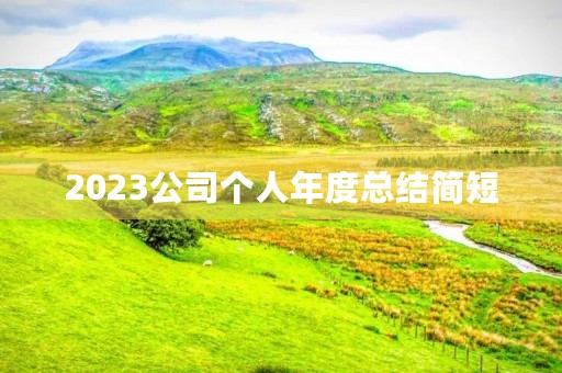 2023公司个人年度总结简短