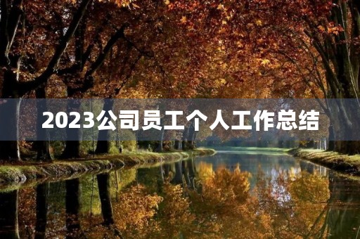 2023公司员工个人工作总结（10篇）