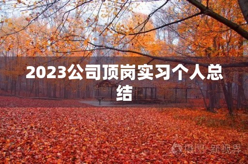 2023公司顶岗实习个人总结