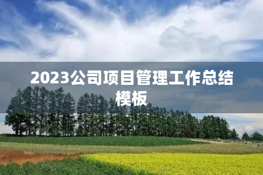 2023公司项目管理工作总结模板