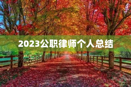 2023公职律师个人总结