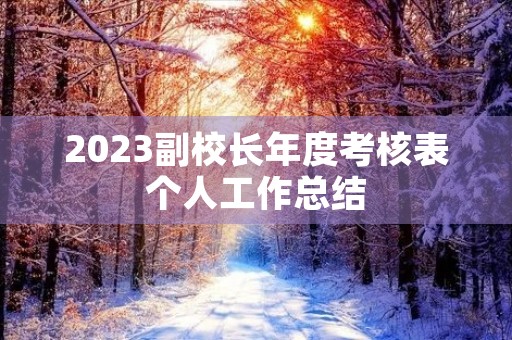 2023副校长年度考核表个人工作总结