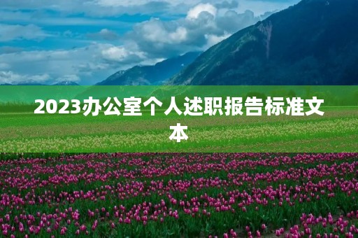 2023办公室个人述职报告标准文本