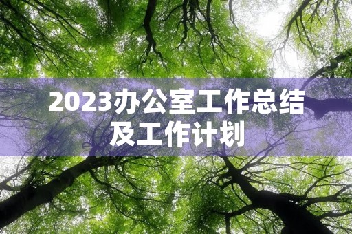 2023办公室工作总结及工作计划