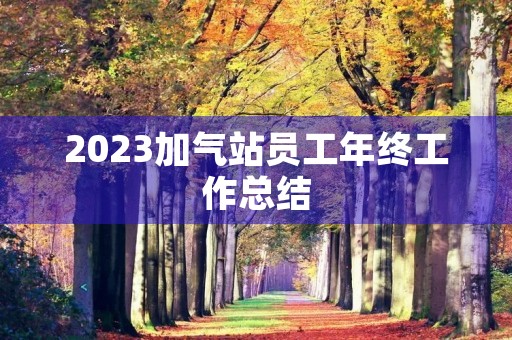 2023加气站员工年终工作总结 2023加气站员工年终工作总结