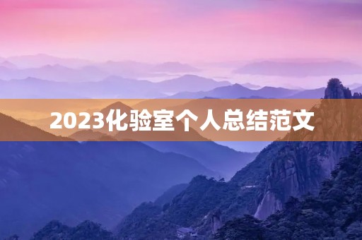 2023化验室个人总结范文