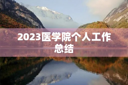 2023医学院个人工作总结