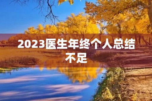 2023医生年终个人总结不足