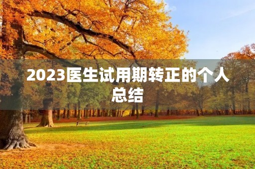 2023医生试用期转正的个人总结