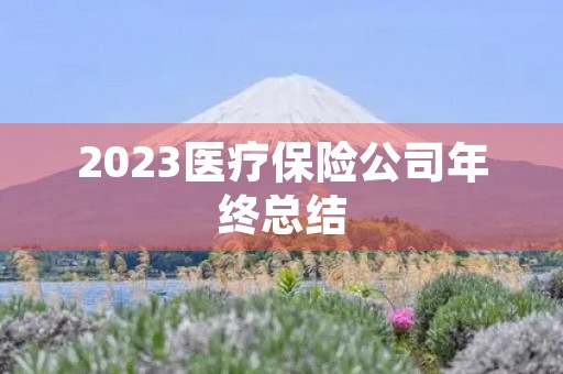 2023医疗保险公司年终总结