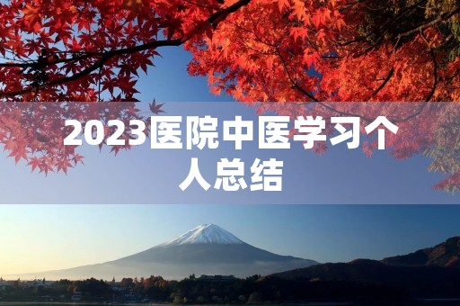 2023医院中医学习个人总结
