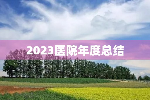 2023医院年度总结