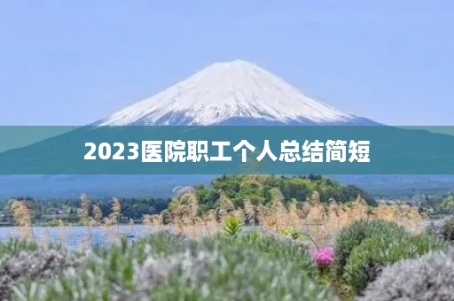 2023医院职工个人总结简短