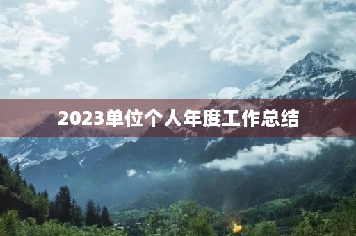 2023单位个人年度工作总结