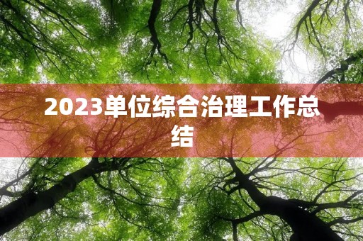 2023单位综合治理工作总结