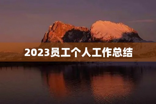 2023员工个人工作总结（10篇）