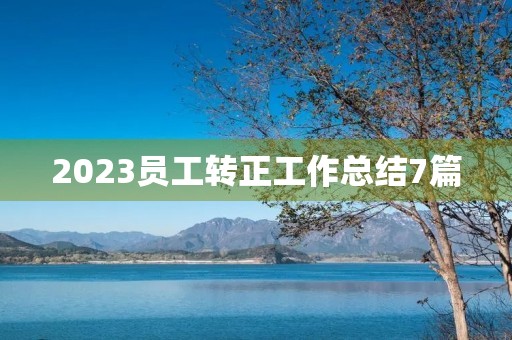 2023员工转正工作总结7篇