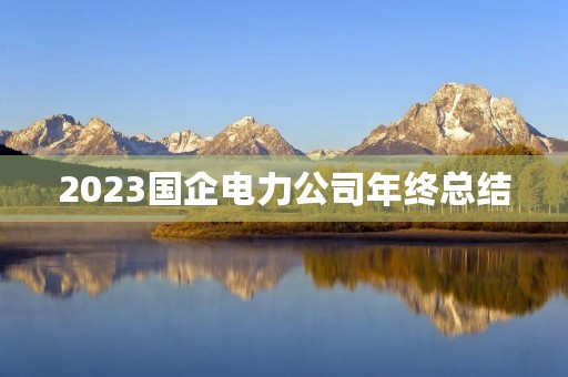 2023国企电力公司年终总结