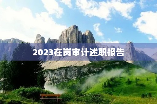 2023在岗审计述职报告 2023在岗审计述职报告