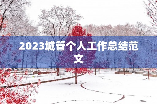 2023城管个人工作总结范文