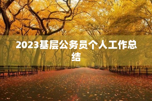 2023基层公务员个人工作总结