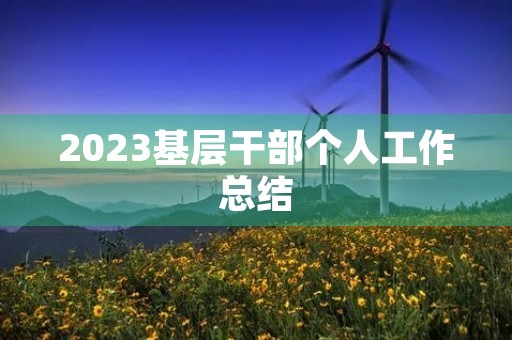 2023基层干部个人工作总结