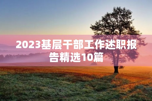 2023基层干部工作述职报告精选10篇