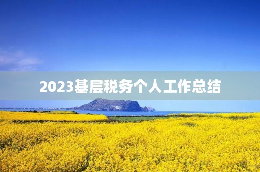 2023基层税务个人工作总结