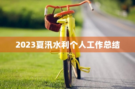 2023夏汛水利个人工作总结