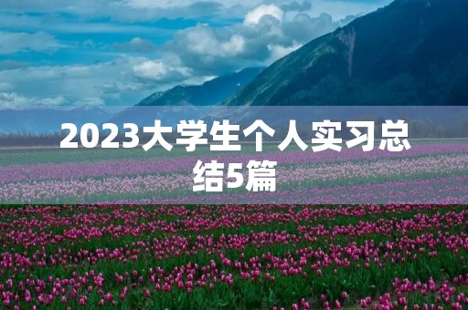 2023大学生个人实习总结5篇